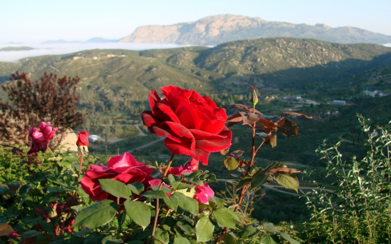 Счастье народов мира: Болгария