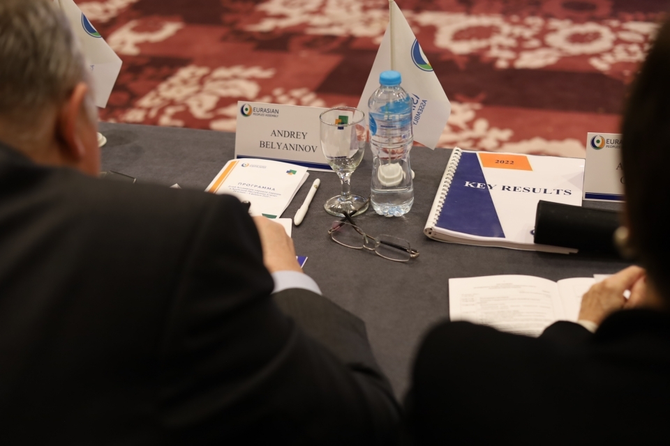 Заседание Генерального совета Ассамблеи народов Евразии в Египте