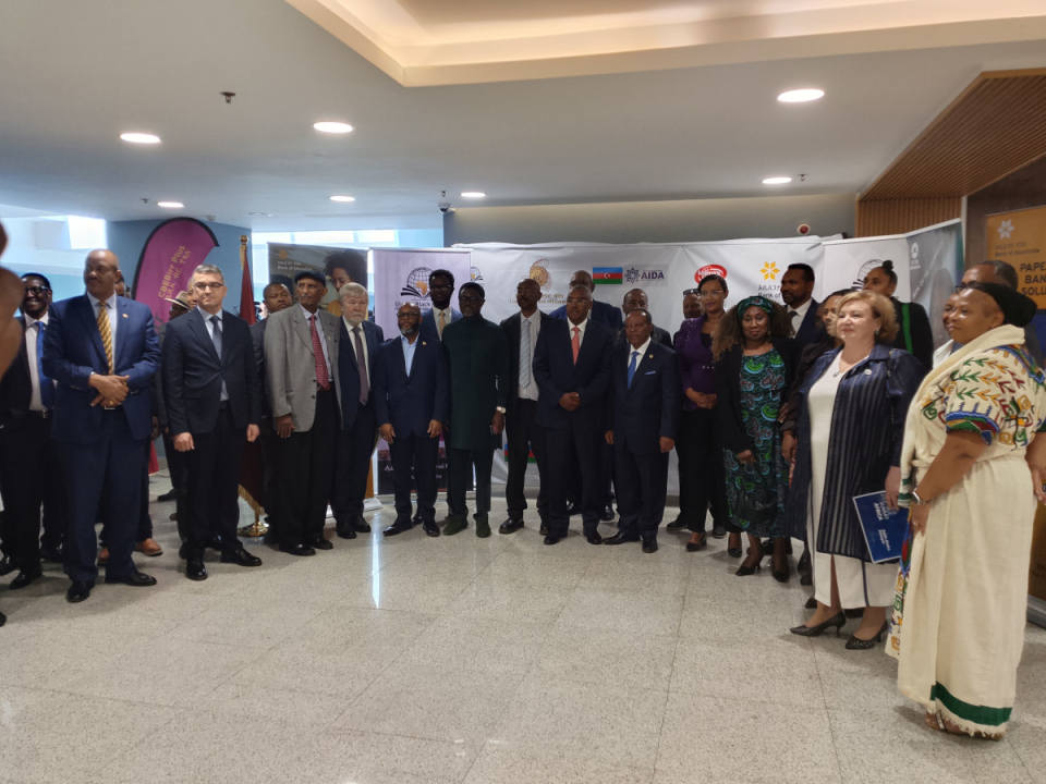 Strategic Global Projects of the World Peoples Assembly were presented at the Global Black Centre Meeting in Ethiopia